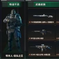 蚀金玫瑰套 水墨云图套 黑海套 161M 16762K哈夫币 161枪皮 22级通行证等级 60行动等级 7战场等级  高级安全箱(2X3)已开