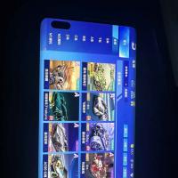 V9 1永久T车 17永久A车 33永久赛车 20宠物 男号 铂金